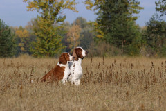 1K9A0086