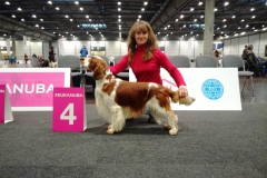 aIMG_20171109_160810