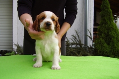 lOLYMPUS DIGITAL CAMERA