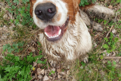 2621611b-a1b3-44fc-a264-74be759925ea-1