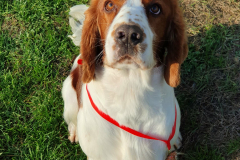 9d6828d9-024a-46c4-b354-318853984b1e