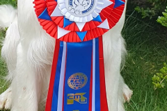 de595a68-145c-4066-9094-2e650e268f85