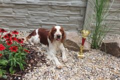 20250722_120015-scaled