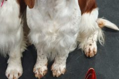 20251109_1316031-scaled