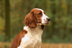 1K9A0869