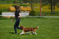 DSCN9213