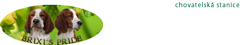 brixispride.com