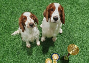 566360932_25348832758056520_211925751219771863_n