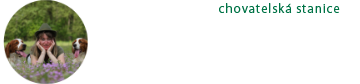 brixispride.com