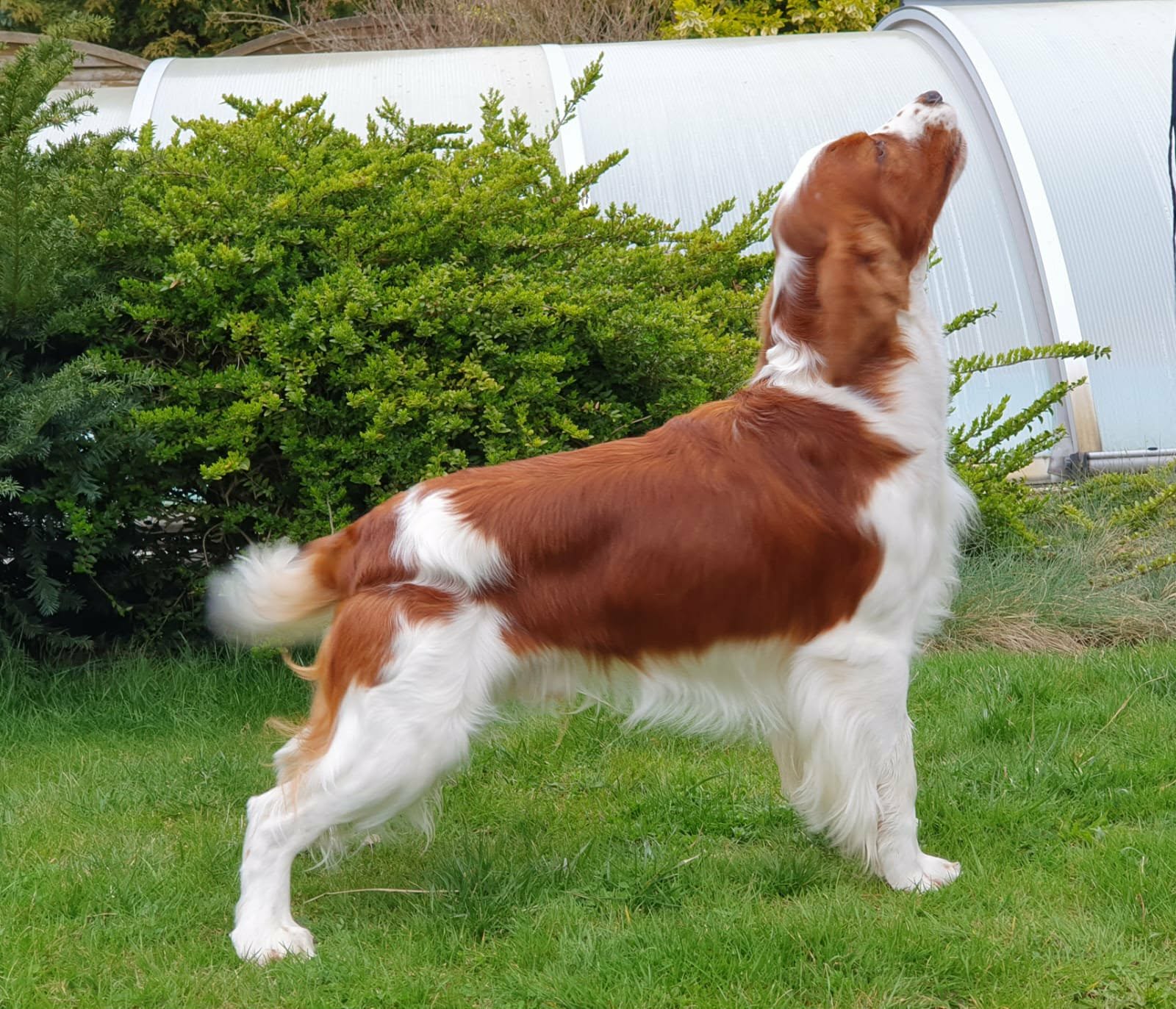 a41691c7-3f5c-4350-95f6-64fae3ba9848